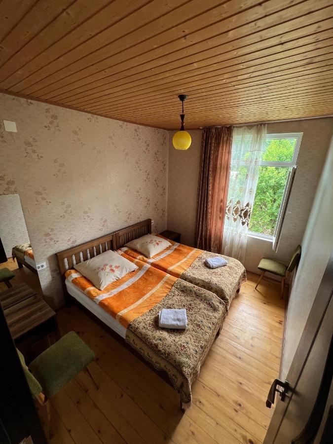 Barbara'S Eco-Cozy Guesthouse Mestia Bagian luar foto