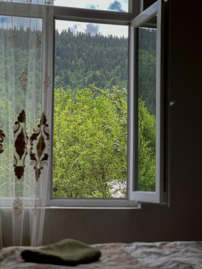 Barbara'S Eco-Cozy Guesthouse Mestia Bagian luar foto