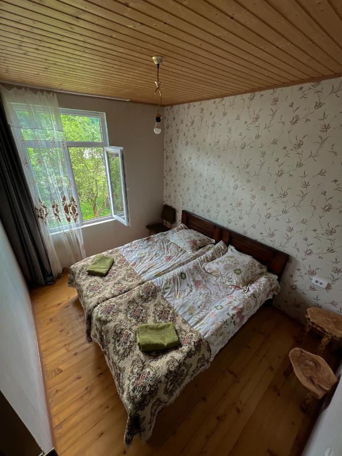 Barbara'S Eco-Cozy Guesthouse Mestia Bagian luar foto