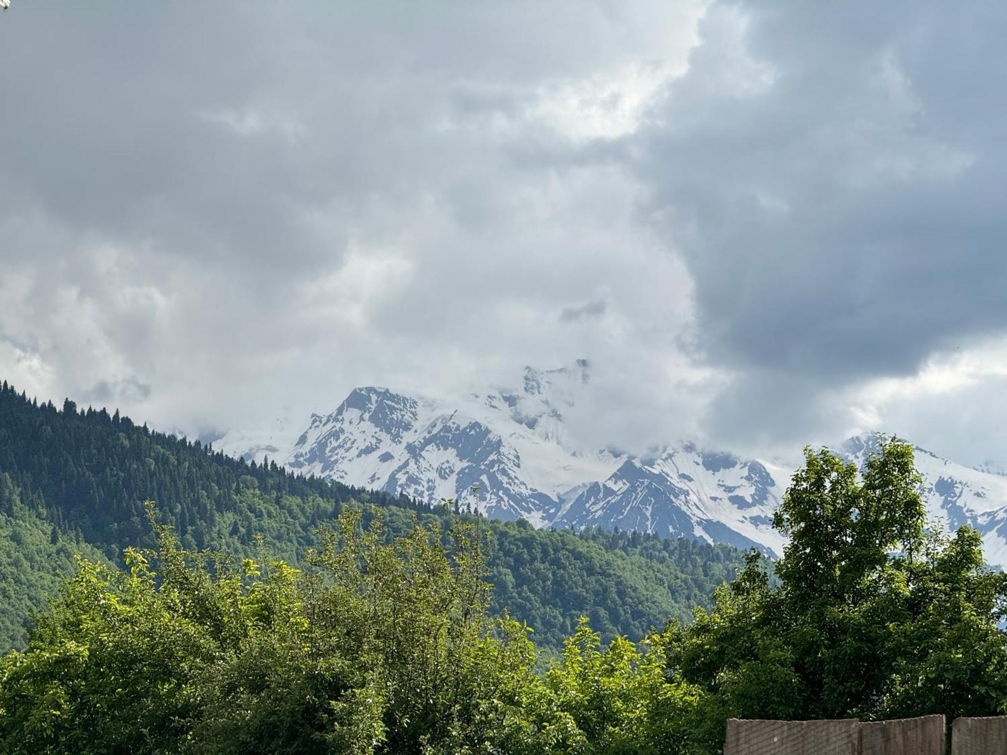 Barbara'S Eco-Cozy Guesthouse Mestia Bagian luar foto