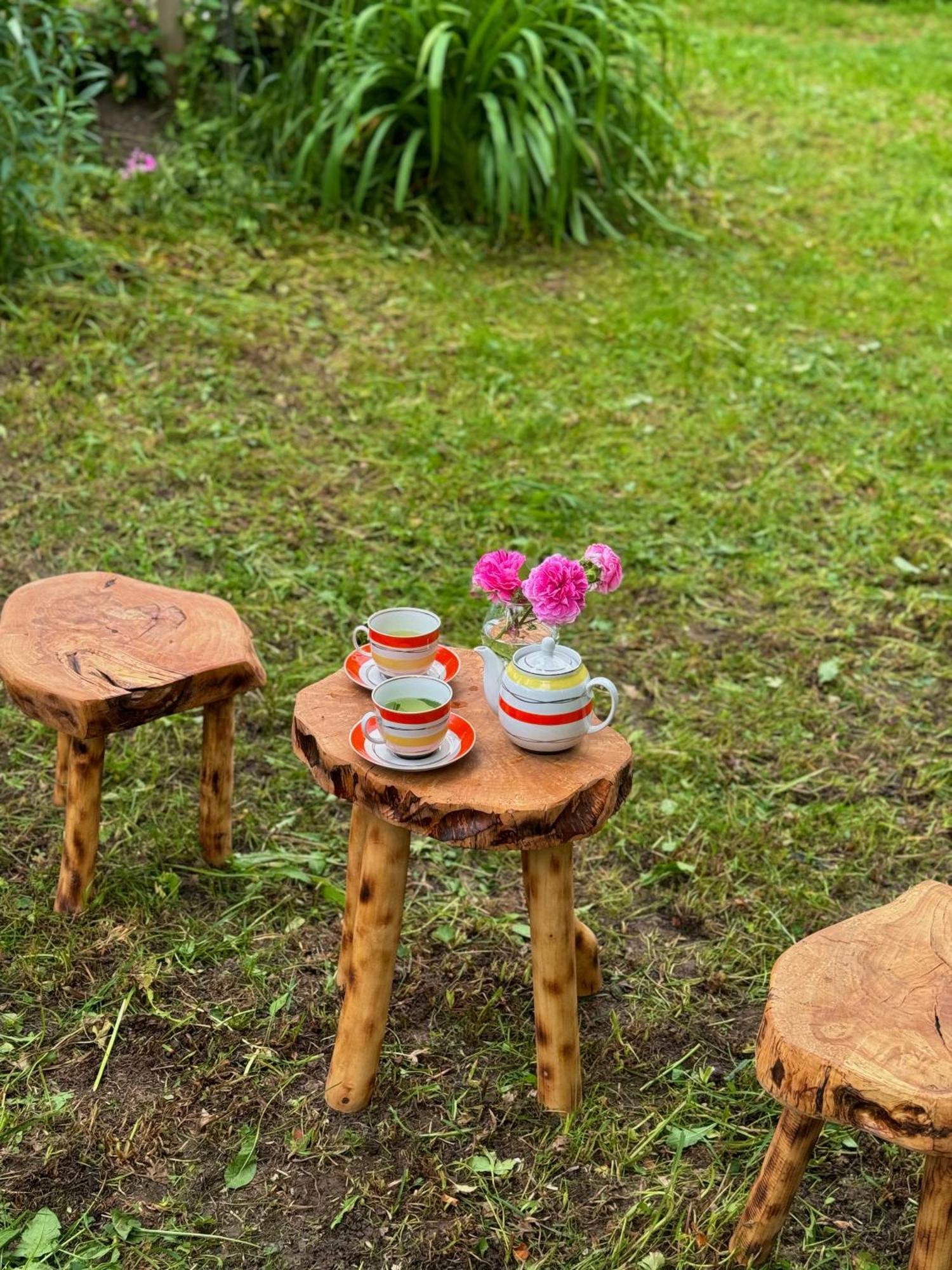 Barbara'S Eco-Cozy Guesthouse Mestia Bagian luar foto